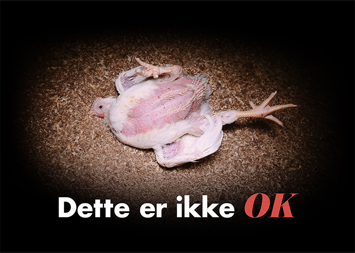 Turbokylling på ryggen