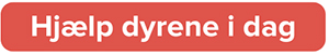 Hjælp dyrene i dag