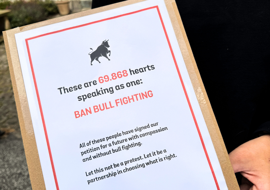 Mappe med underskrifter mod tyrefægtning. Mappe med underskrifter til ambassaden.