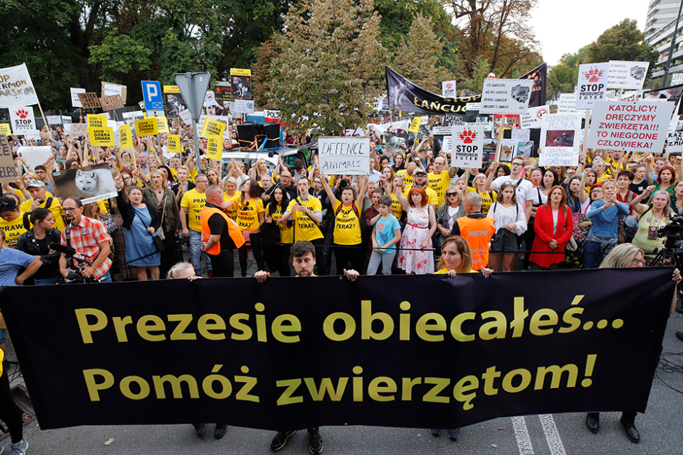 Demonstration mod pelsavl i Polen