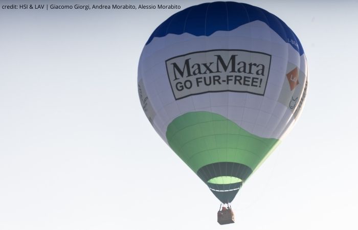 Max Mara ballon