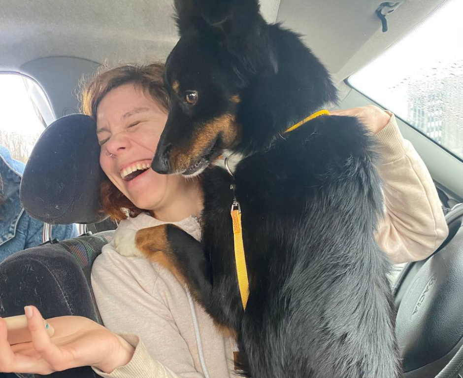 Transport af reddet hunde fra Ukraine