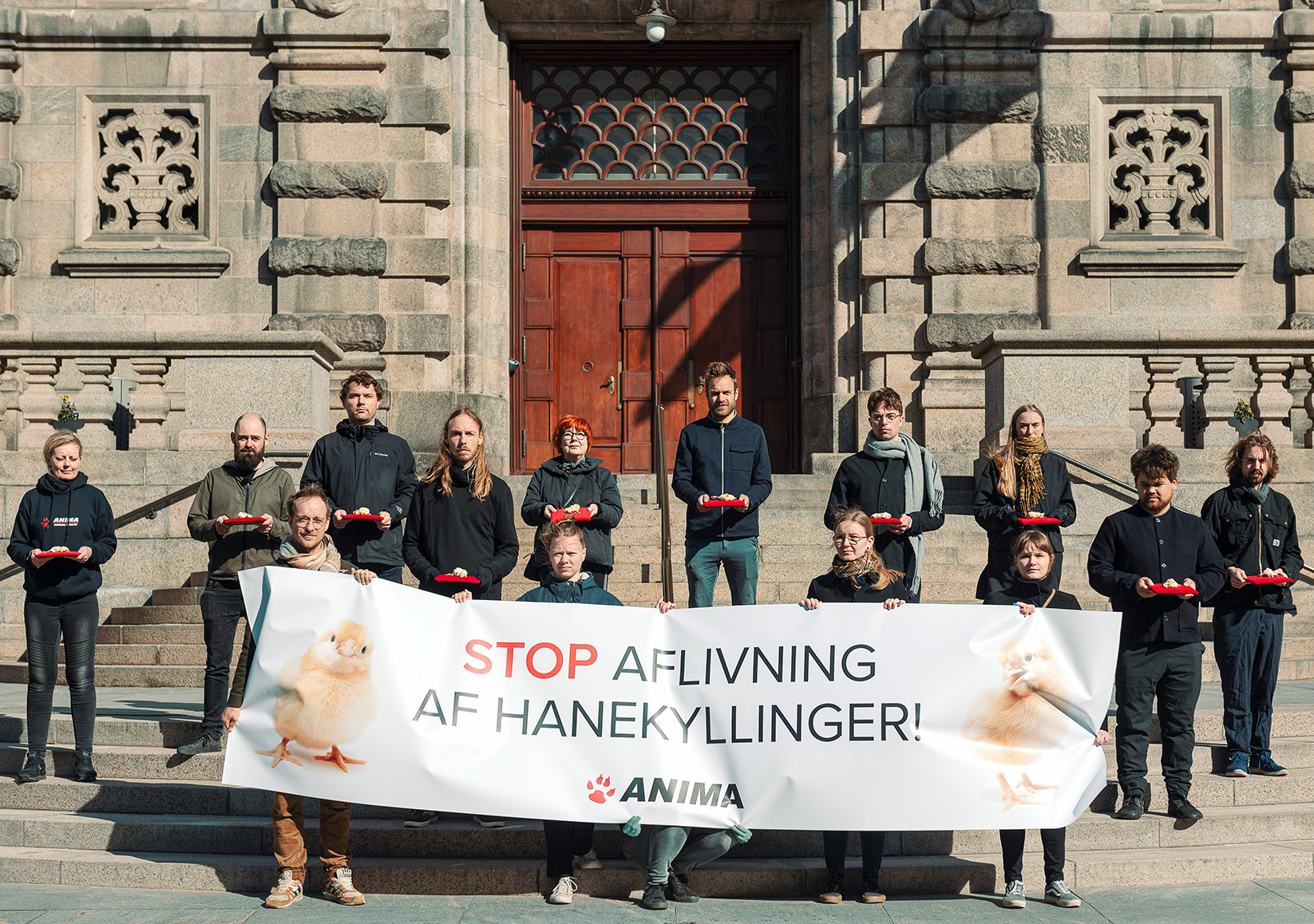 en demonstration foran Christiansborg, hvor aktivister holder et banner der siger "stop aflivning af hanekyllinger" og holder døde hanekyllinger på røde puder i hænderne for at vise problemet. Stemningen er alvorlig