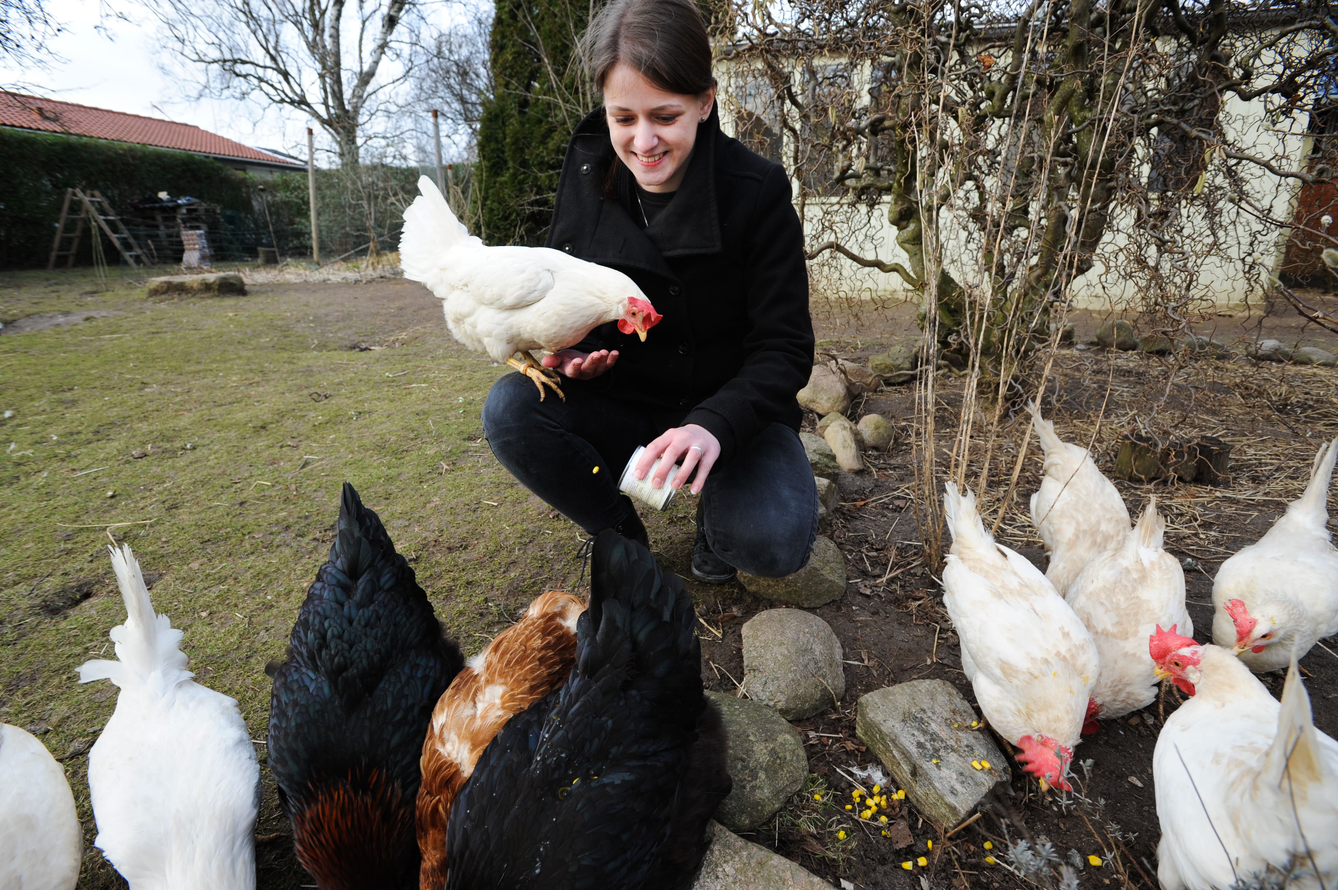 Lina med reddede burhøns